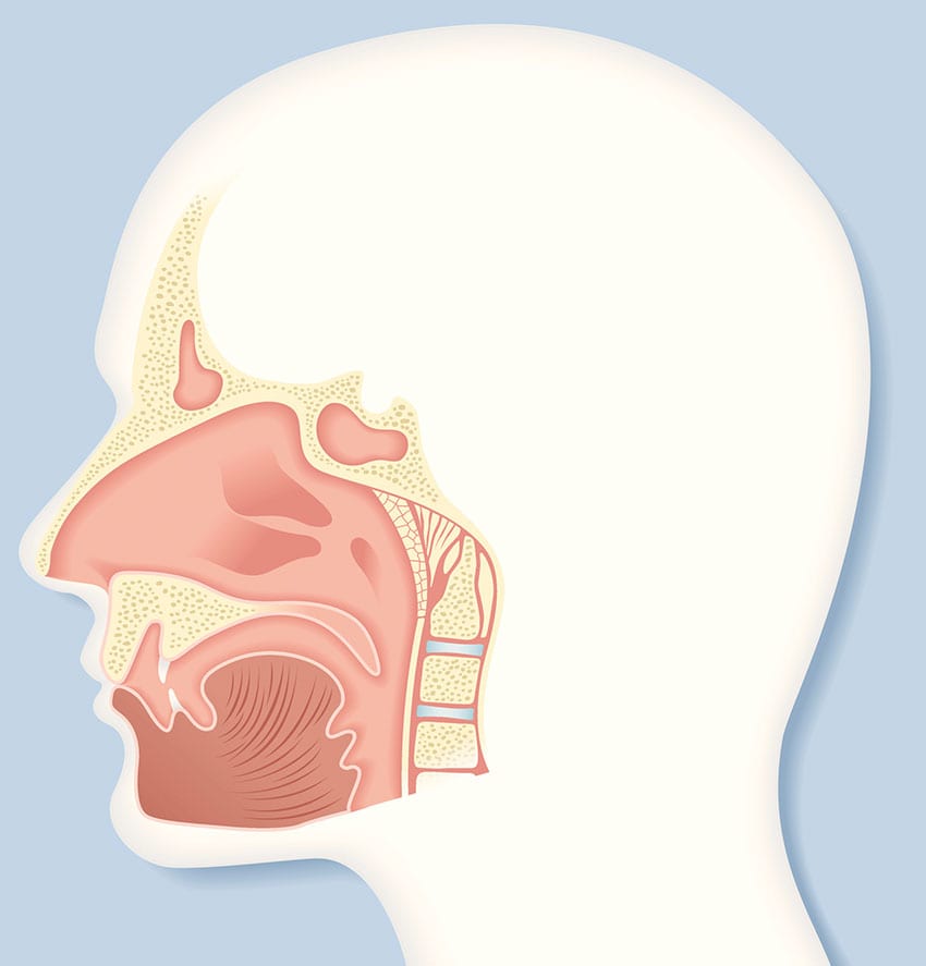 medical-concept-of-deviated-septum-UCI-Sinus-Surgery-Center-2