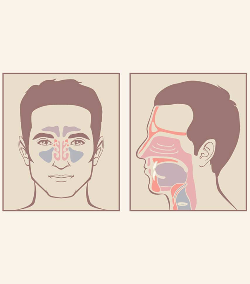 medical-concept-of-nose-showing-turbinates-UCI-Sinus-Surgery-Center-1